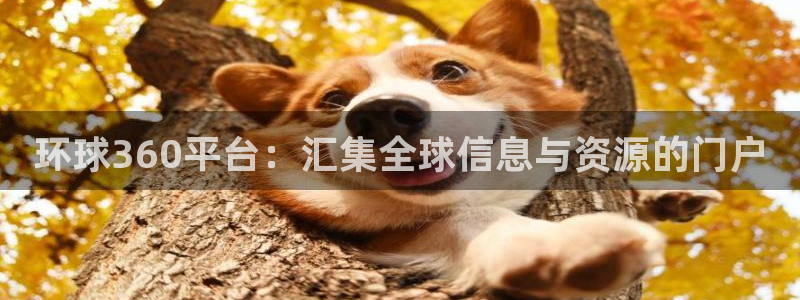 彩神体育在线注册：环球360平台：汇集全球信息与资源的门户