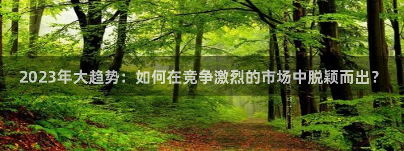 彩神体育论坛：2023年大趋势：如何在竞争激烈的市场中脱颖而出？