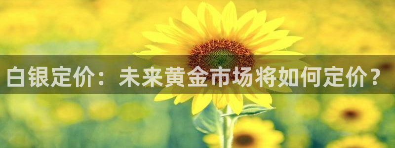 彩神2登录地址：白银定价：未来黄金市场将如何定价？