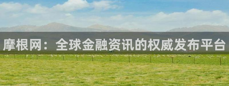 www.彩神体育.com：摩根网：全球金融资讯的权威发布平台