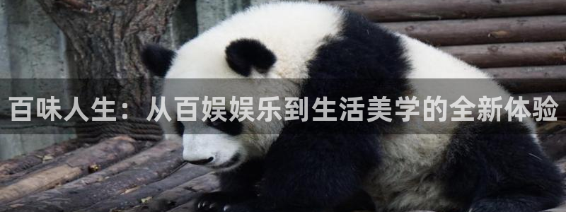 彩神5注册：百味人生：从百娱娱乐到生活美学的全新体验