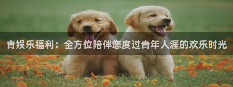 彩神体育用品：青娱乐福利：全方位陪伴您度过青年人涯的欢乐时光