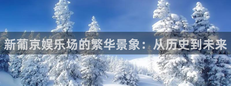 彩神体育论坛：新葡京娱乐场的繁华景象：从历史到未来