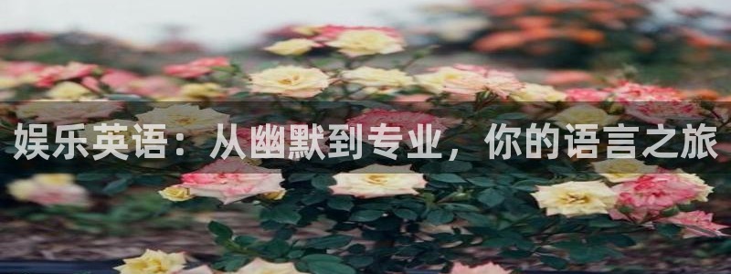 彩神k：娱乐英语：从幽默到专业，你的语言之旅