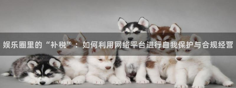 彩神平台招商：娱乐圈里的“补税”：如何利用网络平台进行自我保护与合规经营