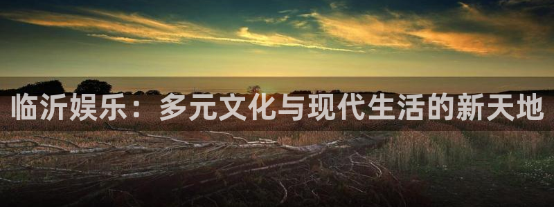 彩神体育代理：临沂娱乐：多元文化与现代生活的新天地