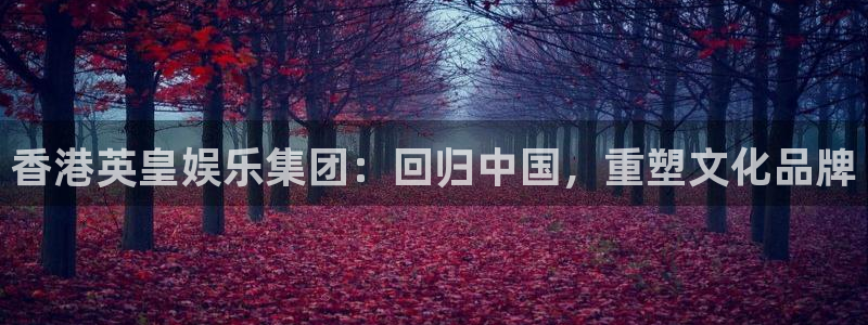 彩神体育代理申请流程：香港英皇娱乐集团：回归中国，重塑文化品牌