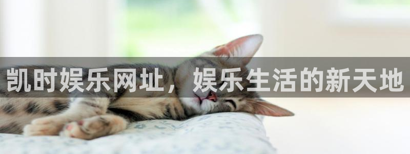 彩神2代理注册：凯时娱乐网址，娱乐生活的新天地