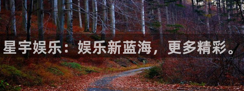 彩神代理注册官网入口：星宇娱乐：娱乐新蓝海，更多精彩。