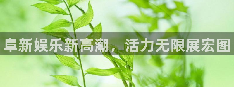 彩神平台