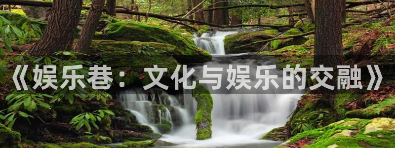 彩神体育凯捷平台代理