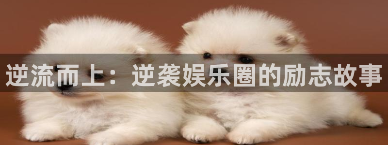 彩神平台在线开户