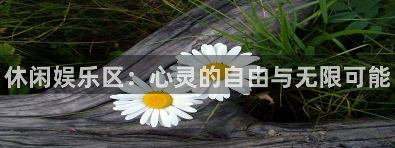 彩神平台主管