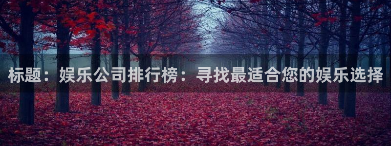 彩神3平台登录注册：标题：娱乐公司排行榜：寻找最适合您的娱乐选择